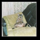 [Click to enlarge image]