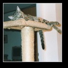 [Click to enlarge image]