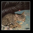 [Click to enlarge image]