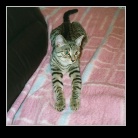 [Click to enlarge image]