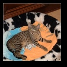 [Click to enlarge image]