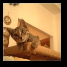 [Click to enlarge image]