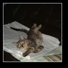 [Click to enlarge image]