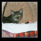 [Click to enlarge image]