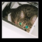 [Click to enlarge image]