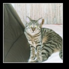 [Click to enlarge image]