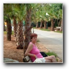 [Click to enlarge image]