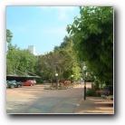 [Click to enlarge image]