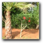 [Click to enlarge image]