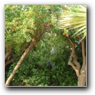 [Click to enlarge image]